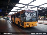 Araucária Transportes Coletivos 19801 na cidade de Curitiba, Paraná, Brasil, por Mayron Cesar  Colaço Teixeira. Número da foto: #7535721.