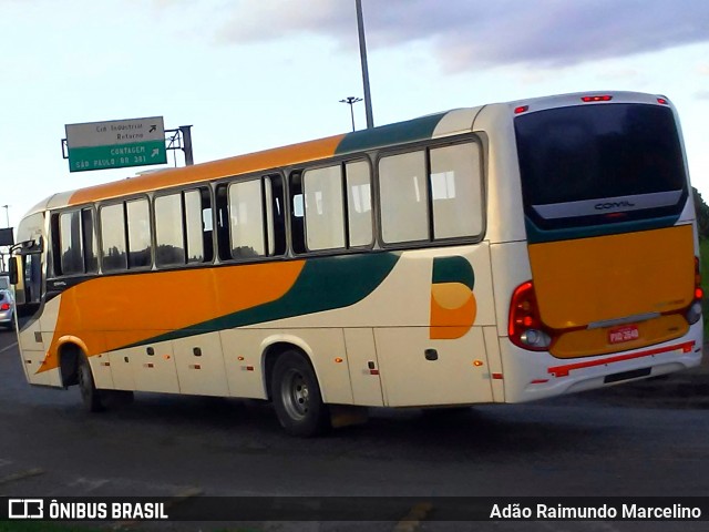 Rouxinol 2648 na cidade de Belo Horizonte, Minas Gerais, Brasil, por Adão Raimundo Marcelino. Número da foto: #7540805.