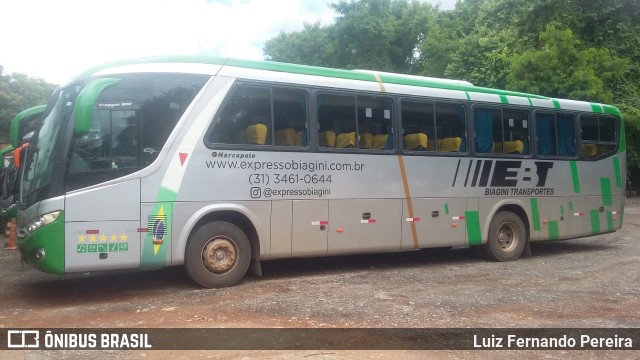 EBT - Expresso Biagini Transportes 8005 na cidade de Belo Horizonte, Minas Gerais, Brasil, por Luiz Fernando Pereira. ID da foto: 7539050.