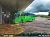 Pássaro Verde 15135 na cidade de João Monlevade, Minas Gerais, Brasil, por Felipe  José dos Reis. Número da foto: #:id.
