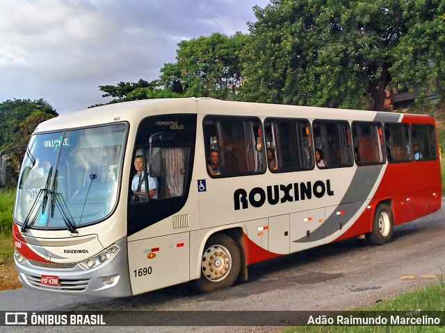 Rouxinol 1690 na cidade de Belo Horizonte, Minas Gerais, Brasil, por Adão Raimundo Marcelino. ID da foto: 7543327.