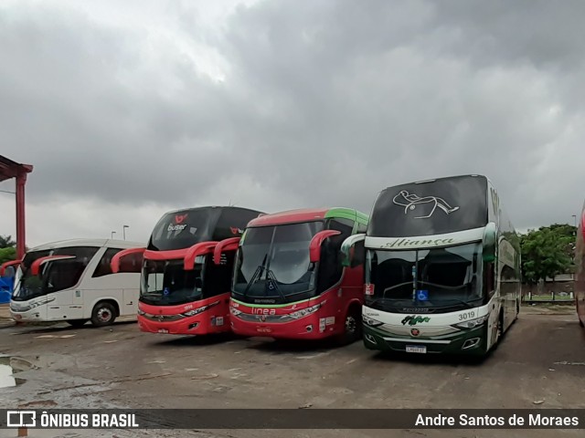 Aliança Turismo 3019 na cidade de São Paulo, São Paulo, Brasil, por Andre Santos de Moraes. Número da foto: #7548989.