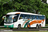 Empresa de Transportes Andorinha 6067 na cidade de Rancharia, São Paulo, Brasil, por Francisco Ivano. Número da foto: #7548482.