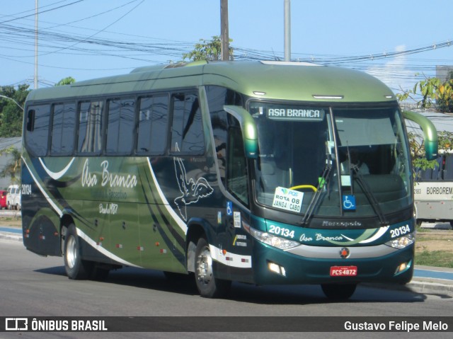 Asa Branca Turismo 20134 na cidade de Jaboatão dos Guararapes, Pernambuco, Brasil, por Gustavo Felipe Melo. Número da foto: #7550550.