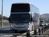 Pullman Setter  na cidade de San Fernando, Colchagua, Libertador General Bernardo O'Higgins, Chile, por Jeremias Alejandro Medina Ramirez. Número da foto: #7553212.