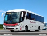 Expresso Embaixador 263 na cidade de Pelotas, Rio Grande do Sul, Brasil, por Fábio Oliveira. Número da foto: #:id.