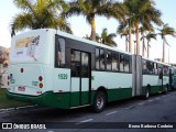 Jotur - Auto Ônibus e Turismo Josefense 1529 na cidade de Florianópolis, Santa Catarina, Brasil, por Bruno Barbosa Cordeiro. Número da foto: #:id.