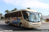 Pullman San Andrés  na cidade de La Serena, Elqui, Coquimbo, Chile, por Araya Daniel . Número da foto: #7558546.