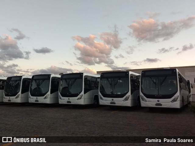 Marcopolo  na cidade de Fazenda Rio Grande, Paraná, Brasil, por Samira  Paula Soares. Número da foto: #7560952.