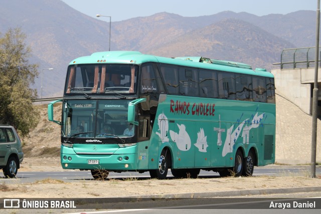 Ramos Cholele 89 na cidade de La Calera, Quillota, Valparaíso, Chile, por Araya Daniel . Número da foto: #7562108.