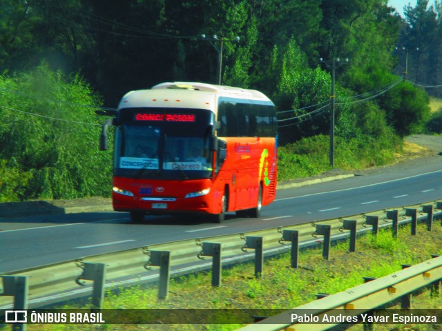 Pullman Bus 3083 na cidade de Los Ángeles, Biobío, Bío-Bío, Chile, por Pablo Andres Yavar Espinoza. ID da foto: 7562020.