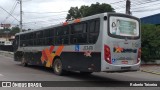Rápido Campinas 133470 na cidade de Campo Limpo Paulista, São Paulo, Brasil, por Roberto Teixeira. Número da foto: #:id.