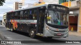Rápido Campinas 133495 na cidade de Jundiaí, São Paulo, Brasil, por Roberto Teixeira. Número da foto: #7564191.