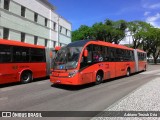 Araucária Transportes Coletivos LE705 na cidade de Curitiba, Paraná, Brasil, por Adriano Trezub Déa. Número da foto: #7566580.