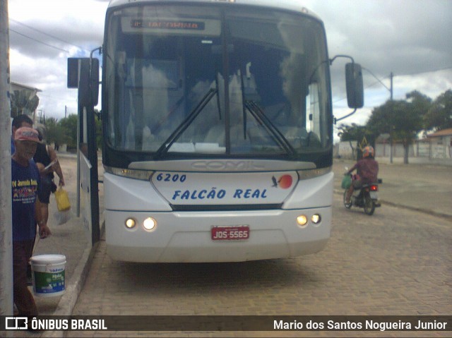 Falcão Real 6200 na cidade de Piritiba, Bahia, Brasil, por Mario dos Santos Nogueira Junior. ID da foto: 7492616.