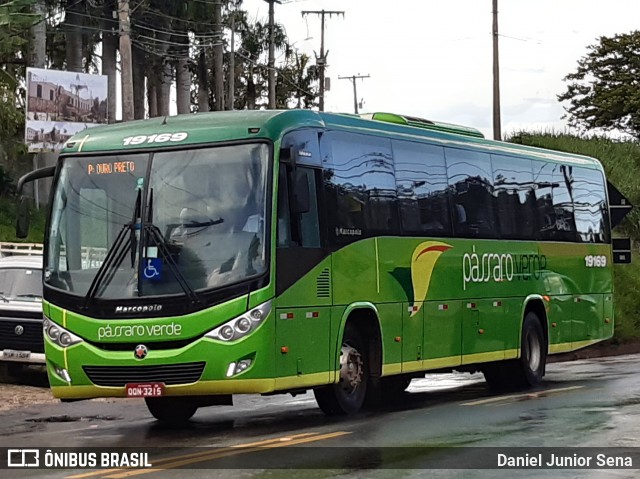 Pássaro Verde 19169 na cidade de Ouro Preto, Minas Gerais, Brasil, por Daniel Junior Sena. Número da foto: #7493932.