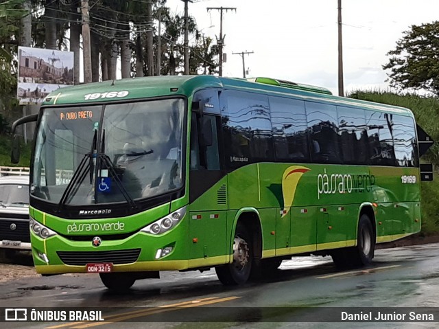 Pássaro Verde 19169 na cidade de Ouro Preto, Minas Gerais, Brasil, por Daniel Junior Sena. ID da foto: 7493932.