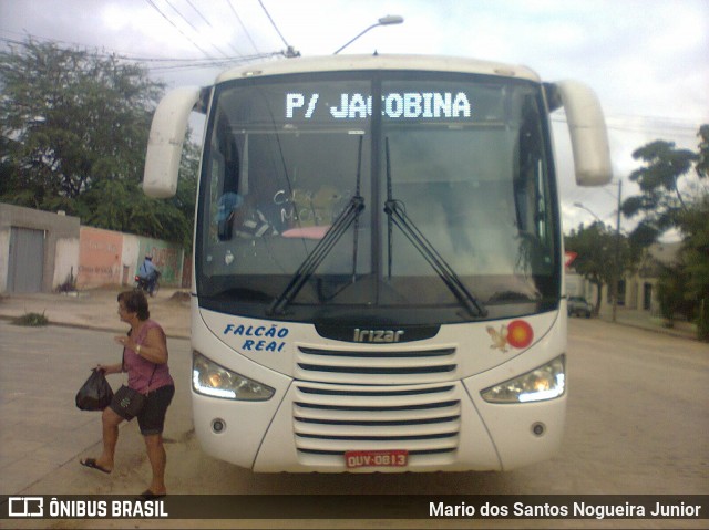 Falcão Real 1409 na cidade de Piritiba, Bahia, Brasil, por Mario dos Santos Nogueira Junior. Número da foto: #7494850.