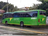 Pássaro Verde 19169 na cidade de Ouro Preto, Minas Gerais, Brasil, por Daniel Junior Sena. Número da foto: #7493926.