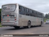 Viação Tamandaré 22L19 na cidade de Curitiba, Paraná, Brasil, por Alisson Carvalho . Número da foto: #7496833.