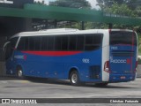 Viação Riodoce 91805 na cidade de Sapucaia, Rio de Janeiro, Brasil, por Christian  Fortunato. Número da foto: #7499724.