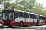 Rondônia Transportes 0111058 na cidade de Manaus, Amazonas, Brasil, por Vinicius Ribeiro. Número da foto: #:id.