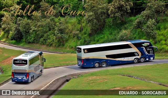Bia Turismo > Aellos de Ouro 82700 na cidade de Sorocaba, São Paulo, Brasil, por EDUARDO - SOROCABUS. Número da foto: #7507358.