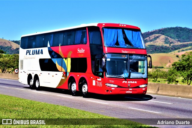 Pluma Conforto e Turismo 7016 na cidade de Roseira, São Paulo, Brasil, por Adriano Duarte. ID da foto: 7506795.