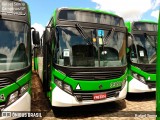 VB Transportes e Turismo 3387 na cidade de Campinas, São Paulo, Brasil, por Rafael Senna. Número da foto: #:id.