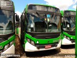 VB Transportes e Turismo 3387 na cidade de Campinas, São Paulo, Brasil, por Rafael Senna. ID da foto: :id.