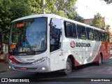 Rouxinol 110 na cidade de Lagoa Santa, Minas Gerais, Brasil, por Marcelo Ribeiro. Número da foto: #:id.