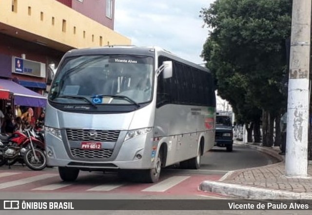 Lourena Transportes 6012 na cidade de Matozinhos, Minas Gerais, Brasil, por Vicente de Paulo Alves. ID da foto: 7510469.