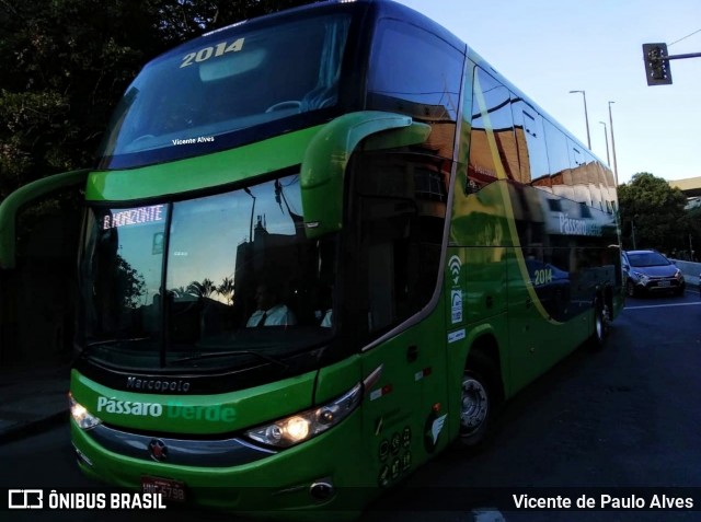 Pássaro Verde 2014 na cidade de Belo Horizonte, Minas Gerais, Brasil, por Vicente de Paulo Alves. ID da foto: 7571614.