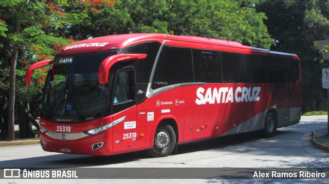 Viação Santa Cruz 25319 na cidade de São Paulo, São Paulo, Brasil, por Alex Ramos Ribeiro. Número da foto: #7573083.