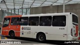 Alfa Rodo Bus 8 6219 na cidade de São Paulo, São Paulo, Brasil, por Asprilla Matheus. Número da foto: #7571911.