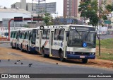 Circular Santa Luzia 704 na cidade de São José do Rio Preto, São Paulo, Brasil, por Aislan Nascimento. Número da foto: #7598252.
