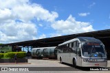 Auto Viação São José dos Pinhais EL313 na cidade de Curitiba, Paraná, Brasil, por Eduardo Ribeiro. Número da foto: #7600509.