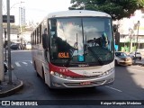 Rouxinol 121 na cidade de Belo Horizonte, Minas Gerais, Brasil, por Kaique Marquês Medeiros . Número da foto: #7602465.