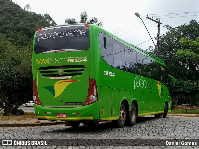 Pássaro Verde 19154 na cidade de Ouro Preto, Minas Gerais, Brasil, por Daniel Gomes. ID da foto: 7606333.