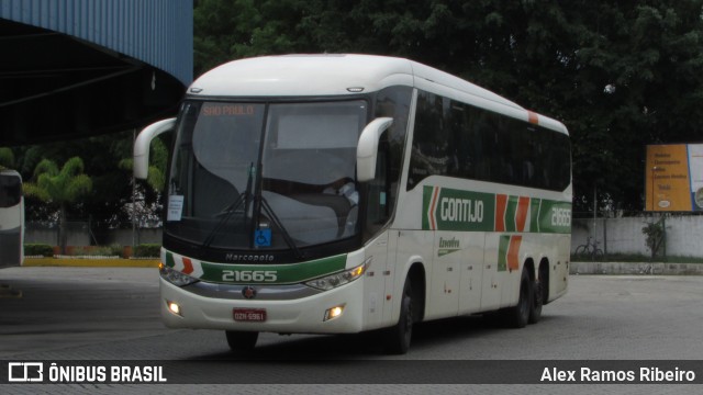 Empresa Gontijo de Transportes 21665 na cidade de Resende, Rio de Janeiro, Brasil, por Alex Ramos Ribeiro. Número da foto: #7609474.