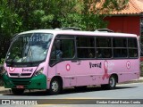 Turin Transportes 3290 na cidade de Ouro Preto, Minas Gerais, Brasil, por Gerdan Gabriel Bretas Corrêa. Número da foto: #7608888.