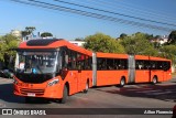 Viação Cidade Sorriso >> Viação Sorriso de Curitiba GE732 na cidade de Curitiba, Paraná, Brasil, por Ailton Florencio. Número da foto: #7609328.