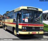 Viação Castelo Branco 100 na cidade de Curitiba, Paraná, Brasil, por Cleber Gumz. Número da foto: #7610597.