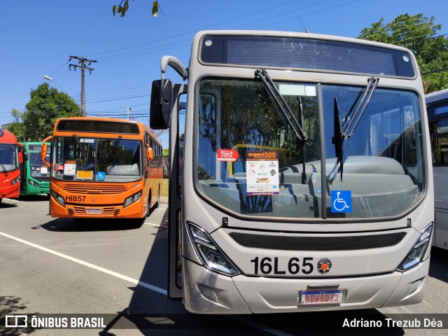 Viação Tamandaré 16L65 na cidade de Curitiba, Paraná, Brasil, por Adriano Trezub Déa. Número da foto: #7611741.