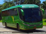 Pássaro Verde 15136 na cidade de Ipatinga, Minas Gerais, Brasil, por Graciliano Santos Passos. Número da foto: #:id.