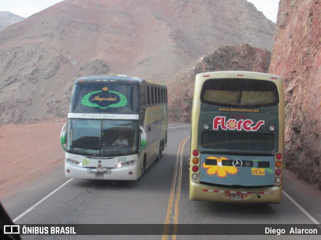 Moquegua Turismo 202 na cidade de Moquegua, Mariscal Nieto, Moquegua, Peru, por Diego Alarcon. Número da foto: #7614663.