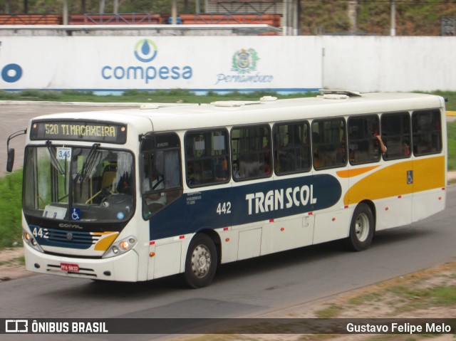 Transcol - Transportes Coletivos Ltda. 442 na cidade de Recife, Pernambuco, Brasil, por Gustavo Felipe Melo. Número da foto: #7616885.