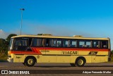 Viação Santana Iapó 250 na cidade de Ponta Grossa, Paraná, Brasil, por Adryan Fernando Muller. Número da foto: #7617108.