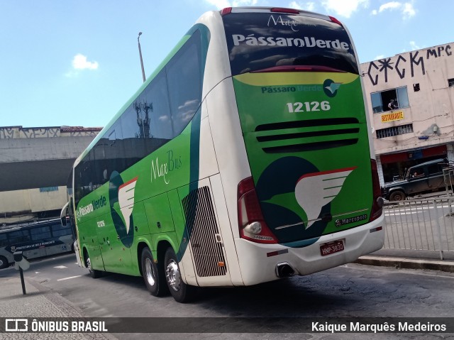 Pássaro Verde 12126 na cidade de Belo Horizonte, Minas Gerais, Brasil, por Kaique Marquês Medeiros . ID da foto: 7619487.