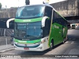 Pássaro Verde 12126 na cidade de Belo Horizonte, Minas Gerais, Brasil, por Kaique Marquês Medeiros . Número da foto: #7619453.